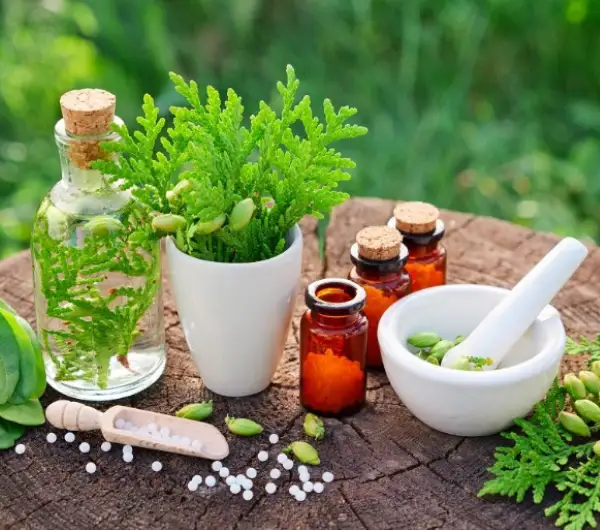 Phyto Chemicals Manufacturer